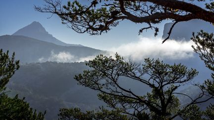 Le parc naturel régional du Verdon dans les Alpes-de-Haute-Provence&nbsp; (PHILIPPE CLÉMENT / BELPRESS/MAXPPP)