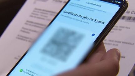 Covid-19 : un réseau de faux pass sanitaire démantelé (FRANCE 2)