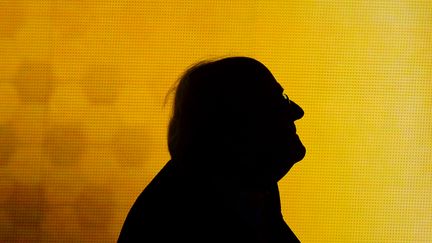 Sepp Blatter, le pr&eacute;sident de la Fifa, le 13 janvier 2014 &agrave; Zurich (Suisse). (PATRICK SEEGER / DPA / AFP)