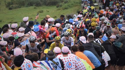 Les coureurs du Tour de France dans la côte de Jaizkibel lors de la 2e étape. (Hortense Leblanc)