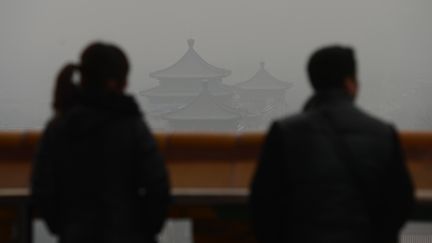 Des touristes chinois se prom&egrave;nent dans Jingshan Park, le 31 janvier 2013 &agrave; P&eacute;kin (Chine), alors qu'un &eacute;pais nuage de pollution &eacute;touffe la capitale.&nbsp; (MARK RALSTON / AFP)