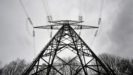 La loi Nome oblige EDF à vendre une partie de son électricité nucléaire à ses concurrents. (AFP PHOTO / MYCHELE DANIAU)