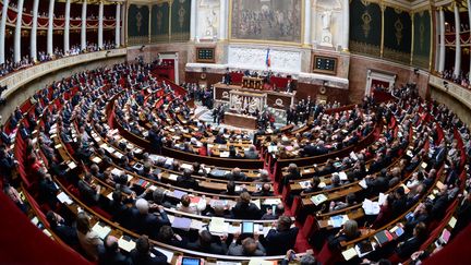 L'Assemble nationale, &agrave; l'occasion du vote de la loi sur le mariage pour tous, le 23 avril 2013. ( MARTIN BUREAU / AFP )