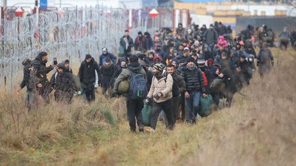 Un groupe de migrants se déplace le long de la frontière biélorusse-polonaise en direction d'un camp pour rejoindre ceux qui sont rassemblés sur place et qui visent à entrer en Pologne, membre de l'UE, dans la région de Grodno, le 12 novembre 2021. (LEONID SHCHEGLOV / BELTA / AFP)