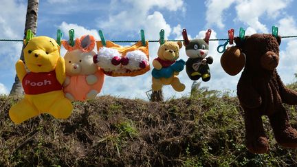 Des peluches s&egrave;chent sur un fil apr&egrave;s le passage du typhon Haiyan pr&egrave;s de Quinapundan (Philippines)n le 19 novembre 2013. (TED ALJIBE / AFP)