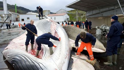 L’économie islandaise dépend effectivement beaucoup de la pêche et de ses débouchés, qui représentent plus de 50% des revenus à l’exportation. Le pays continue, par exemple, d’exporter de la viande de baleine vers le Japon. Cependant, le pays a su se diversifier en misant sur les services tertiaires et l’agriculture. Avec seulement 1% de terres arables, l’Islande est le premier producteur européen de bananes grâce à la géothermie.  (HALLDOR KOLBEINS / AFP)