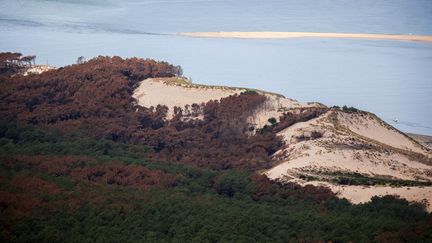 Une vue aérienne des forêt brûlées près de La Teste-de-Buch (Gironde), le 29 juillet 2022. (THIBAUD MORITZ / AFP)