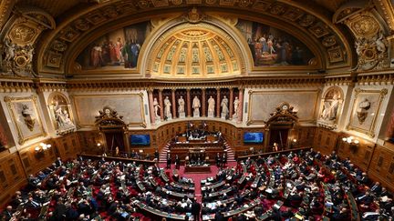 L'hémicycle du Sénat, à Paris, le 2 avril 2024. (BERTRAND GUAY / AFP)