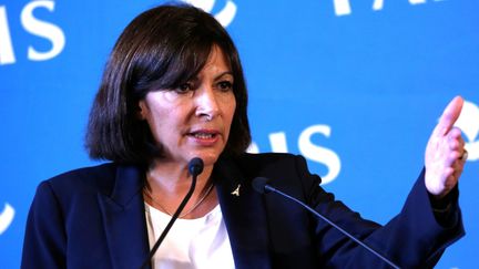 La maire de Paris, Anne Hidalgo, lors d'une conf&eacute;rence de presse, le 7 novembre 2014. (MAXPPP)