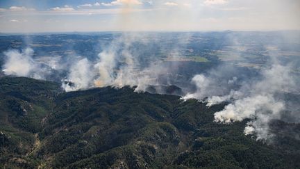 Des panaches de fumée au-dessus des forêts du parc national de la Suisse de Bohème, en République tchèque, le 28 juillet 2022. (ROBERT MICHAEL / DPA / AFP)