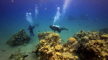 Divers approach a coral reef during a dive in the waters of the Red Sea off the port city of Eilat, southern Israel, February 9, 2021. Illustrative image.  (MENAHEM KAHANA / AFP)