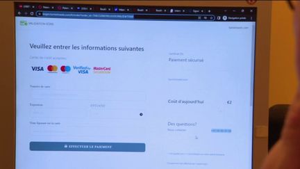 Une arnaque sur&nbsp;internet&nbsp;débute par un email et propose d'acheter 25 ampoules LED, à seulement 1 euro.&nbsp;Une offre alléchante, d'autant que le courriel est intitulé "vos aides gouvernementales". (FRANCE 2)