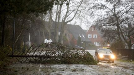 une voiture &eacute;vite un arbre couch&eacute; sur la voie &agrave;&nbsp;Sankt Peter-Ording, une station baln&eacute;aire allemande pr&egrave;s de la mer du Nord, le 5 d&eacute;cembre 2013. (FABIAN BIMMER / REUTERS)