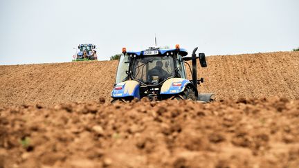 Un agriculteur dans son champs de pommes de terre à Avesnes-le-Sec, dans le nord de la France, le 23 avril 2019. (FRANCOIS LO PRESTI / AFP)