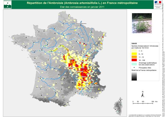 La r&eacute;partition de l'ambroisie en France, en janvier 2011. (MINISTÈRE DU TRAVAIL, DE L'EMPLOI ET DE LA SANTÉ)