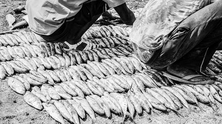 la sardinelle (le «keccax») est fumée sous des feuilles de filao à même le sol ou dans les fumoirs artisanaux. (Nathalie Guironnet)