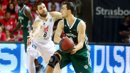 Léo Westermann et le Limoges CSP ont idéalement lancé leur finale au Rhénus de Strasbourg (JEAN-MARC LOOS / MAXPPP)