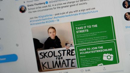 Alors qu'une partie de la planète se confine à cause de la pandémie de Covid-19, le 13 mars 2020, Greta Thunberg appelle sur Twitter à faire la grève pour le climat en ligne, via un mot-dièse, #climateactionstrikeonline. La situation sanitaire met un coup de frein aux mobilisations monstres observées l'année précédente. (FLORENT BARDOS / HANS LUCAS / AFP)