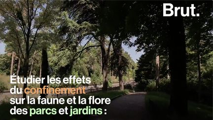 Pendant deux mois, les parcs parisiens ont été préservés du public et la biodiversité s'y est développée comme jamais. Aujourd'hui, certains souhaitent la protéger. Voilà comment…