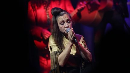 Catherine Ringer lors de son concert à Amiens en octobre 2019 (FRED DOUCHET / MAXPPP)