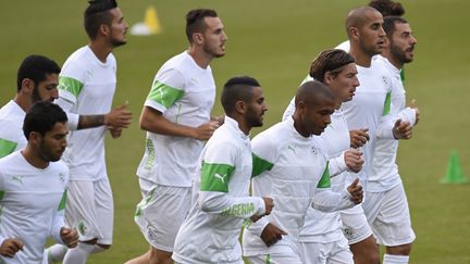 Les Algériens à l'entraînement (PHILIPPE DESMAZES / AFP)