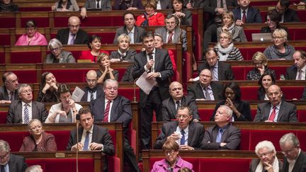 Lors d'une s&eacute;ance de questions au gouvernement &agrave; l'Assembl&eacute;e nationale, le 28 janvier 2014. (  MAXPPP)