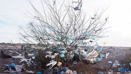 dans le centre-ouest de la Tunisie. Cette région est l’une des plus défavorisées du pays, malgré ses mines de phosphate. Les nombreuses promesses des dirigeants politiques n’ont pu endiguer la misère, le chômage et la corruption, causes principales de la révolution de janvier 2011. (Moises Saman / Magnum Photos)