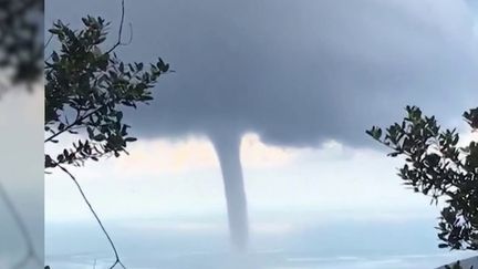 Les trombes marines sont d'immenses colonnes d'eau et de vent tourbillonnant qui se forment sur l'eau. L'une d'entre elle aurait provoqué le naufrage d'un yacht, faisant un mort et six disparus, lundi 19 août.