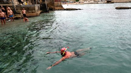 Les membres du Cercle des nageurs marseillais se jettent à l'eau dans la rade de Marseille, le 1er janvier 2022. (VALLAURI NICOLAS / MAXPPP)