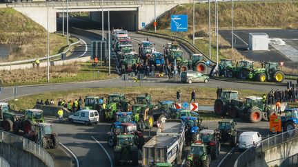 Des agriculteurs manifestent à Aalter, en Belgique, le 31 janvier 2024. (KURT DESPLENTER / BELGA / AFP)