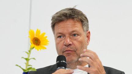 Le ministre de l'Economie allemand Robert Habeck, à&nbsp;Schleusingen (Allemagne), le 29 juillet 2022. (SOEREN STACHE / DPA / AFP)