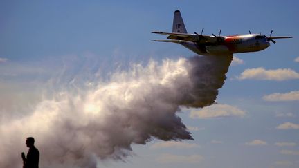 Un avion bombardier d'eau à Sydney en Australie, le 23 janvier 2020. (DAVID GRAY / REUTERS)