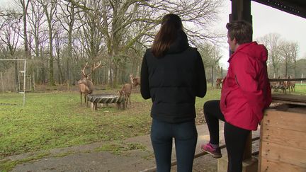 Des gendarmes en immersion dans une ferme (France 3)