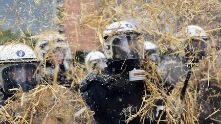 Les fermiers jettent de la paille sur les forces de police pendant une manifestation devant le si&egrave;ge de la Commission europ&eacute;enne, lundi 7 septembre 2015. (EMMANUEL DUNAND / AFP)