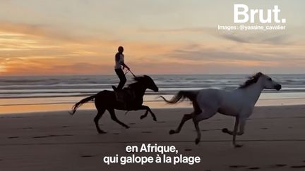 Ses vidéos font aujourd'hui des millions de vues. Brut l'a rencontré, chez lui, à Diabat, près d'Essaouira.