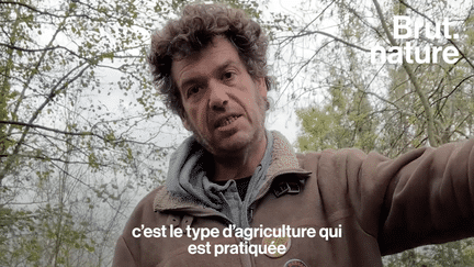 Entre la Nouvelle-Aquitaine et le Pays de la Loire se trouve le Marais poitevin, un endroit naturel classé en France. Mais avec l’agriculture environnante, le site se dégrade, et sa biodiversité est touchée. Brut a rencontré Julien, batelier dans le marais.