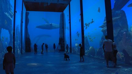 Les fonds marins australiens comme si vous y étiez grâce à une surface de projection de 650m². (France 3 Côte d'Azur / S. Neuquelman)