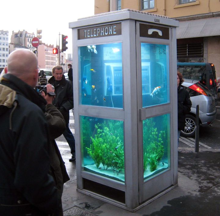 Deux artistes, Beno&icirc;t Deseille&nbsp;et&nbsp;Benedetto Bufalino, ont install&eacute; un aquarium dans une cabine t&eacute;l&eacute;phonique de Lyon, &agrave; l'occasion du Festival des lumi&egrave;res, en 2008. (WENN/SIPA/SIPA USA)