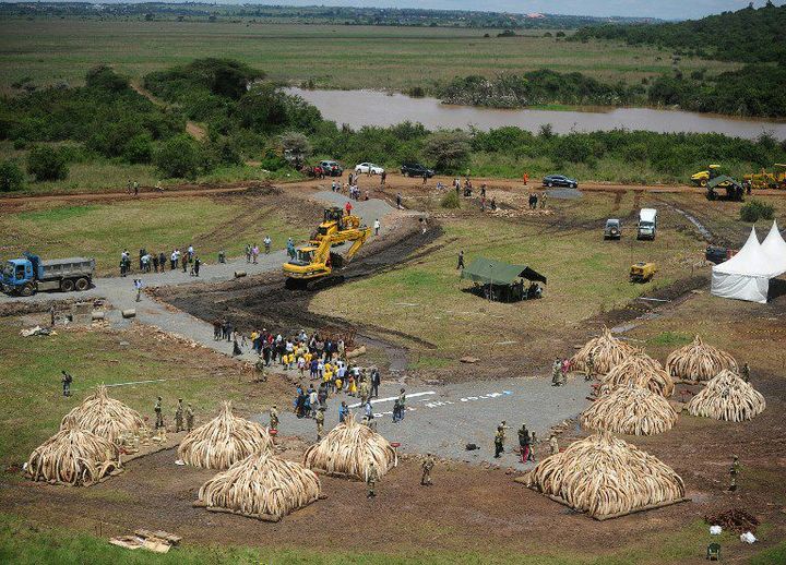 Vue aérienne du site où s'achèvent les préparatifs de la crémation publique de 105 tonnes d'ivoire à Nairobi au Kenya. C'est la plus grande à être jamais réalisée. (Photo AFP/Tony Karumba)