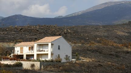Une villa au milieu de la terre brûlée, à Biguglia (Haute-Corse), mercredi 26 juillet 2017.&nbsp; (PASCAL POCHARD-CASABIANCA / AFP)