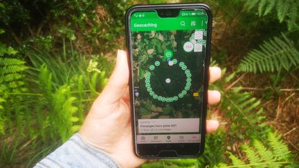 Les caches sont géolocalisées sur l'application Geocaching. Leur taille est aussi indiquée. Une fois découvertes, il faut les inscrire sur l'application.&nbsp; (Solène Balogog Le Galludec)