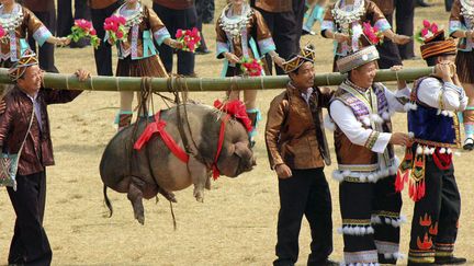 Des Hmongs, une ethnie nomade chinoise, transportent un cochon lors d'une f&ecirc;te traditionnelle &agrave; Rongshui (Chine), le 26 octobre 2013. (CHINA DAILY / REUTERS)