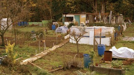 Les jardins ouvriers menacés à Aubervilliers par la construction d'une piscine. (BASILE BERTRAND)