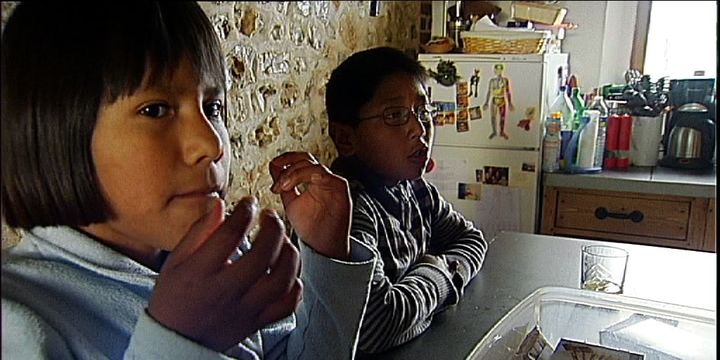 Les démarches pour adopter un enfant à l'étranger sont longues et compliquées (France 2)