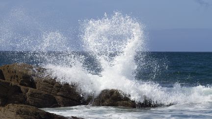 Sur l'île d'Yeu (Vendée), le 6 février 2017. (JACQUES LOIC / PHOTONONSTOP / AFP)