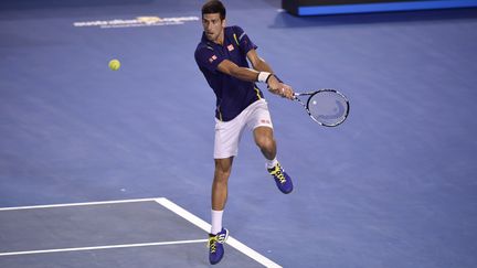 Novak Djokovic a fait parler son talent pour écarter le jeune, Quentin Halys (19 ans) (PETER PARKS / AFP)