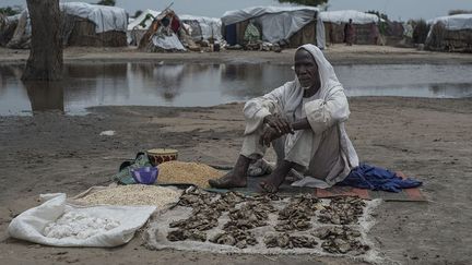 La Communauté économique des Etats de l’Afrique de l’Ouest a annoncé une aide de 1 million de dollars au profit de 4,7 millions de personnes en situation d’insécurité alimentaire dans le nord-est du Nigeria. (STEFAN HEUNIS/AFP)