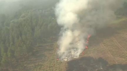 Incendies en Gironde : la pinède dévastée vue du ciel