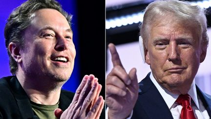 Le patron de X et Tesla, Elon Musk (gauche), et le candidat républicain à la présidentielle américaine, Donald Trump (droite). (FREDERIC J. BROWN,BRENDAN SMIALOWSKI / AFP)