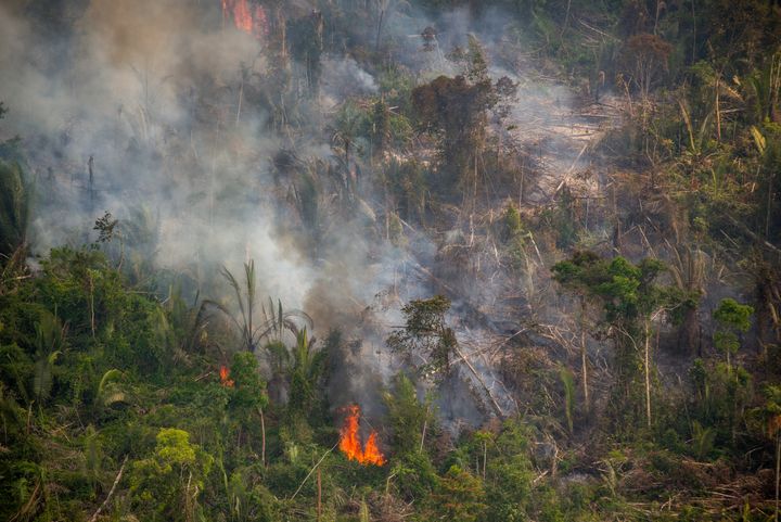 Incendie dans la réserve extractive de Jaci-Paraná, en Amazonie, dans l'ouest du Brésil, le 16 août 2020. (CHRISTIAN BRAGA / GREENPEACE BRAZIL)